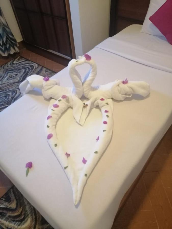 Dolphin Hotel El Qoseir Eksteriør bilde